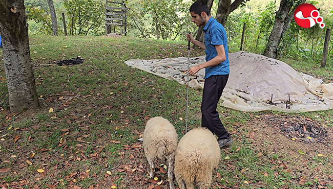 Görme engelli gencin azmi!...