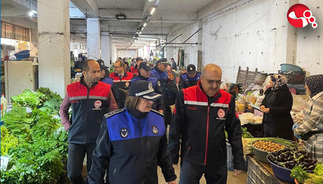 Mantarlar imha edildi