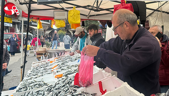 Tezgahların gözdesi hamsi!...