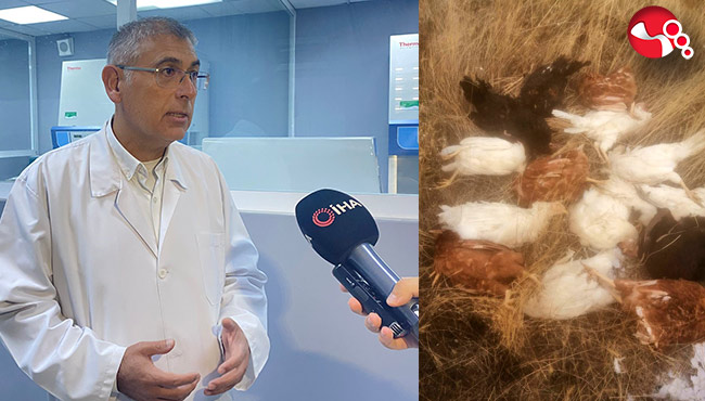 Prof. Dr. Mehmet Akan'dan kuş gribine yönelik açıklamalar!...