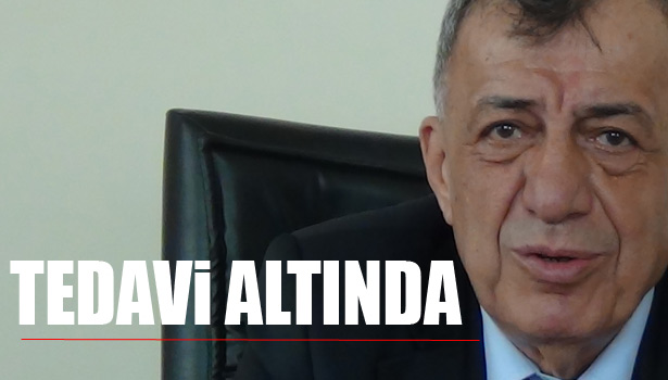 TEHLİKELİ BİR DURUMU YOK