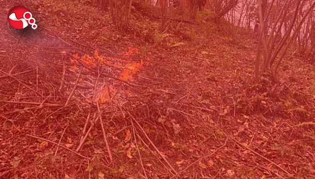 Adeta panik yarattı