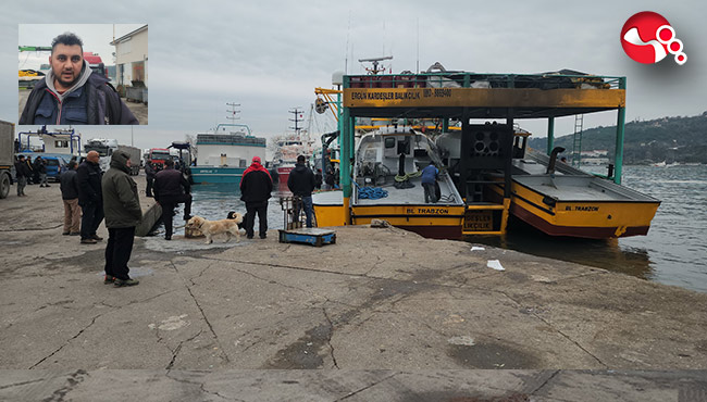 Limanda hamsi hareketliliği!...