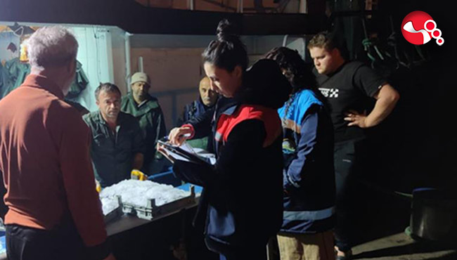 Hamsi avına kota denetimi