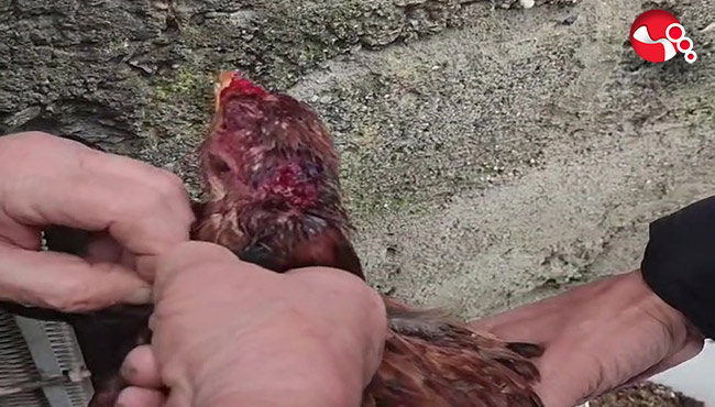 Bunu kim yaptı? Boğulmak üzereydi!....