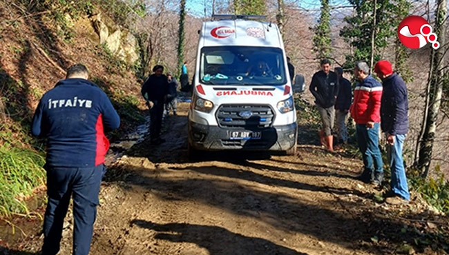 Üzerine tomruk devrildi