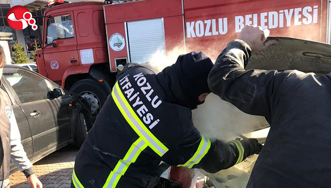 Park halindeyken alevlere teslim oldu