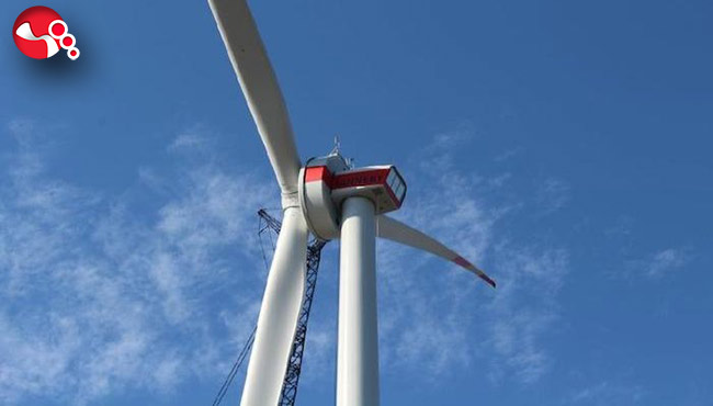 Echomar, rüzgar elektriği kullanacak