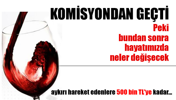 "ALKOL DÜZENLEMESİ" KOMİSYON'DAN GEÇTİ