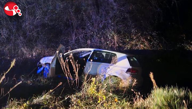 Domuza çarptı,şarampole uçtu