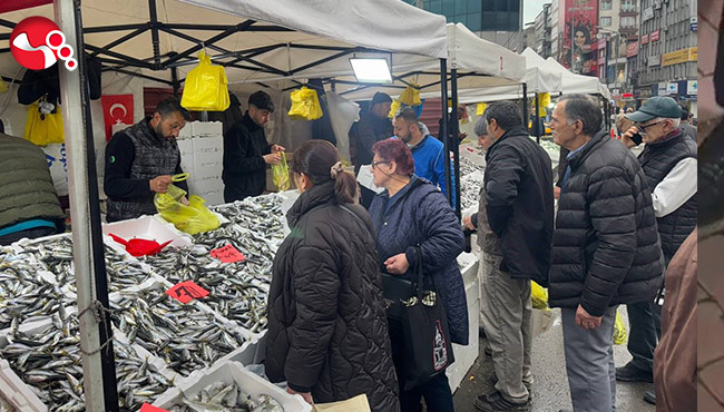 İstavrit bollaştı,fiyatlar düştü