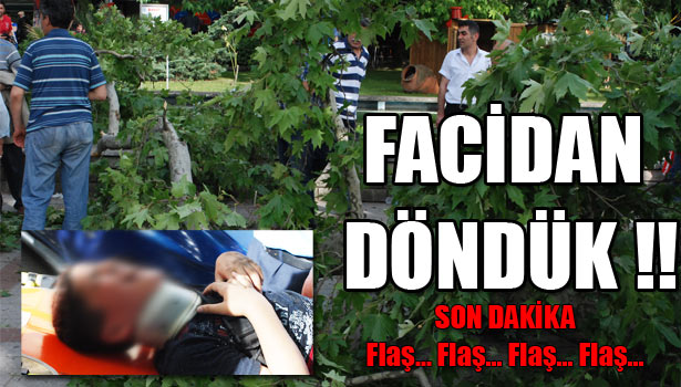 AKIL ALMAZ OLAY! AĞAÇTAN KOPAN YARIM TONLUK PARCA TEPELERİNE DÜŞTÜ