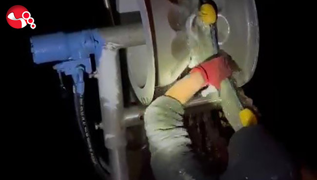 Çinekop bolluğu yaşandı