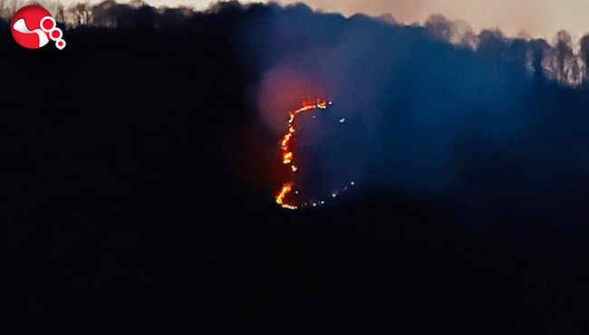 Yaklaşık 4 dönüm alan kül oldu!
