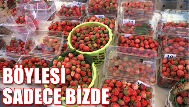 EN GÜZEL OSMANLI ÇİLEKLERİ YARIŞTI