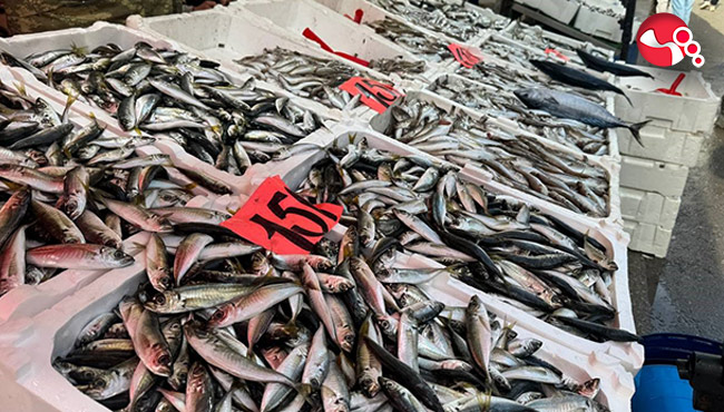 İstavrit 150 lira!...