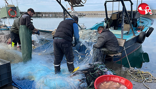 Balıkçılar çok mutlu....