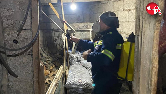 Kahverengi kokarcayla mücadelede uyarılar!