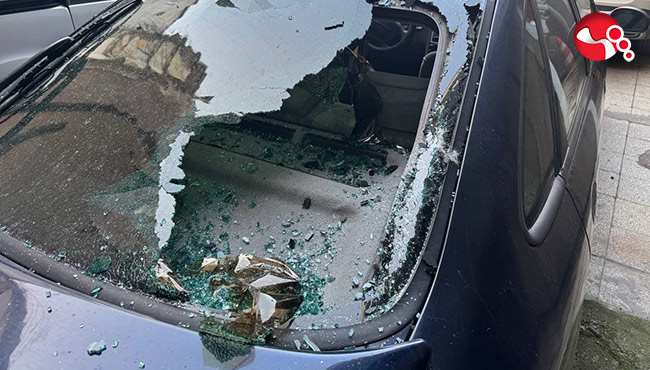 Köpek balkondan düştü