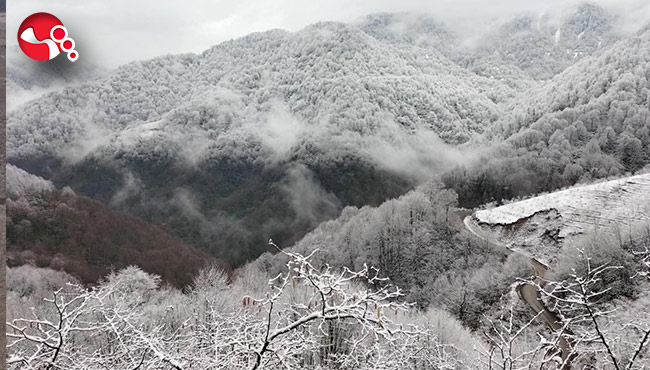 Sezonun ilk karı yağdı