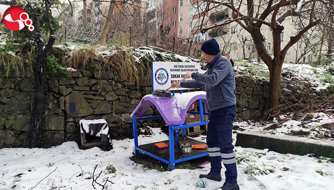 Kdz. Ereğli Belediyesi, sokaktaki canları unutmadı....