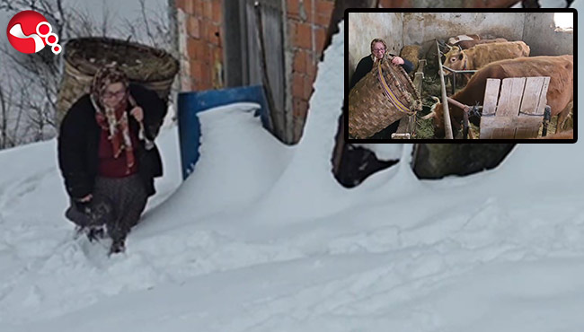 Gümeli'de yaşam mücadelesi