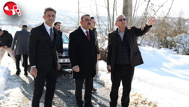 3.000 Kapasiteli Modern Hayvan Barınağı İnşa Ediliyor