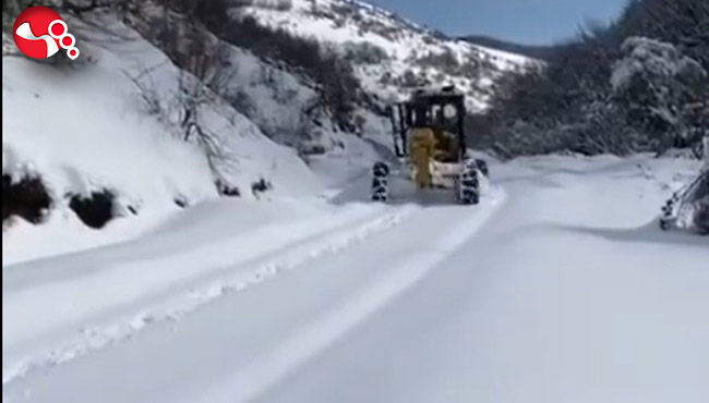 Ulaşıma kapanan bin 114 köyde karla mücadele başarısı