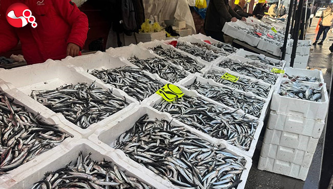 Yerli hamsi kaç lira?