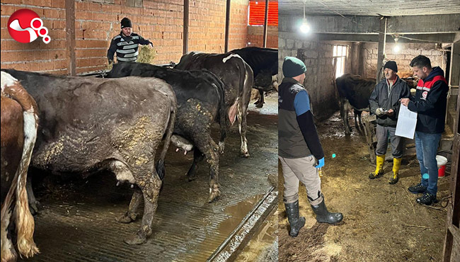 DİKKAT! Şap Salgını!....