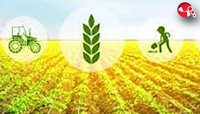 Çiftçilere Hibe Desteği çağrısı....