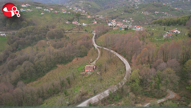 Ormanlar ilkbaharı karşılıyori