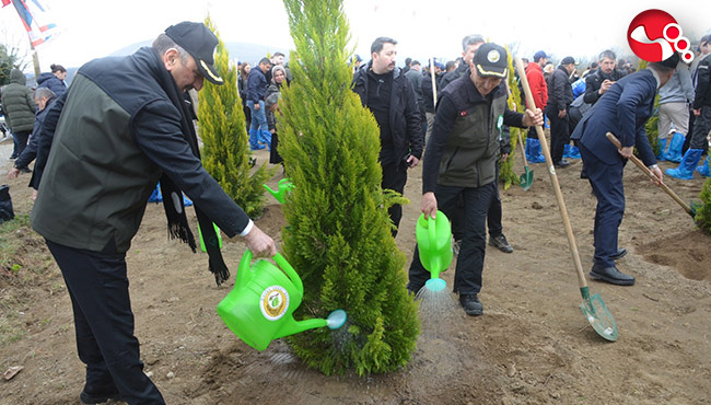 Haftaya özel fidan dikimi yapıldı