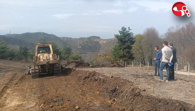 Sokak hayvanları için çalışmalar hızlandı