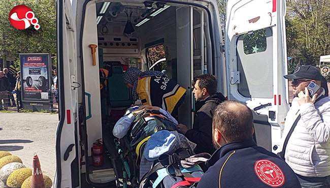 Yolun karşısına geçmek istemişti!..