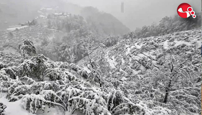 Yüksek kesimler bembeyaz!...
