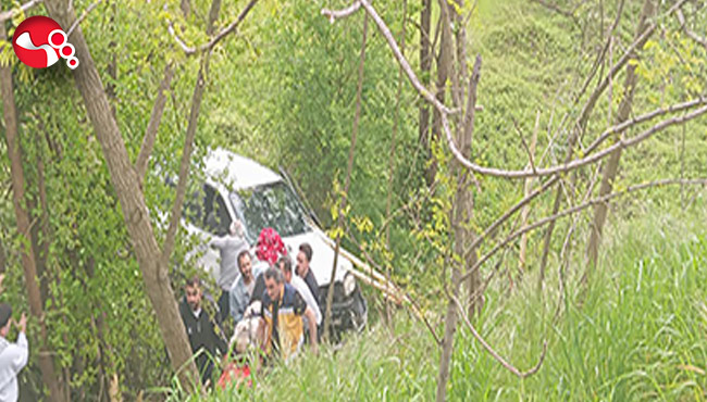 Tarlaya uçtu: Dede ve iki torunu yaralı!...
