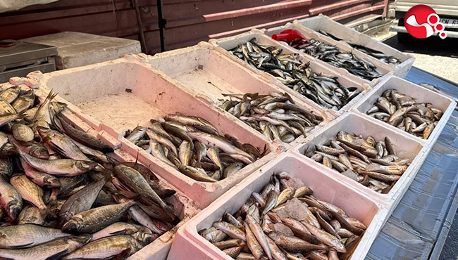 Zonguldak'ta tezgahlar şenlendi