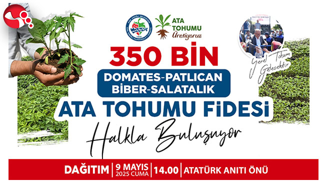 350 bin ata tohumu fidesi dağıtılacak…