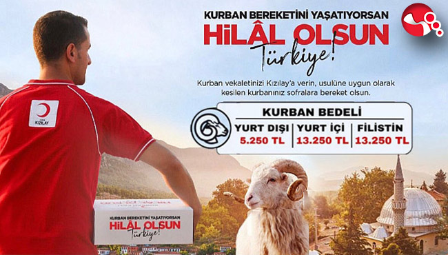 “Kurban bereketini yaşatıyorsan, hilal olsunlar Türkiye“
