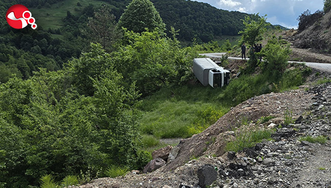 Şarampole yuvarlandı