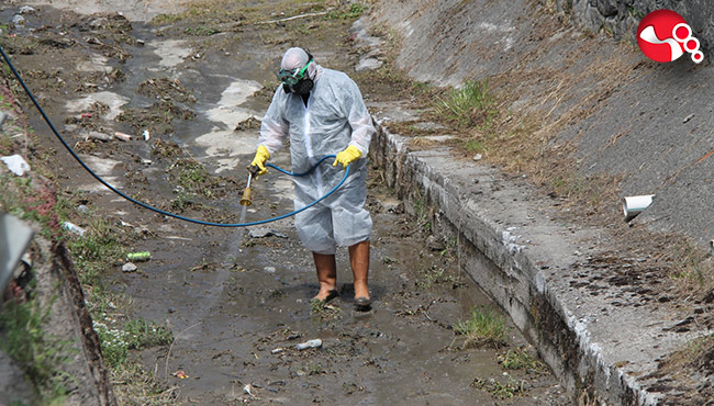 Dere yatakları ve sulak alanlar ilaçlanıyor…