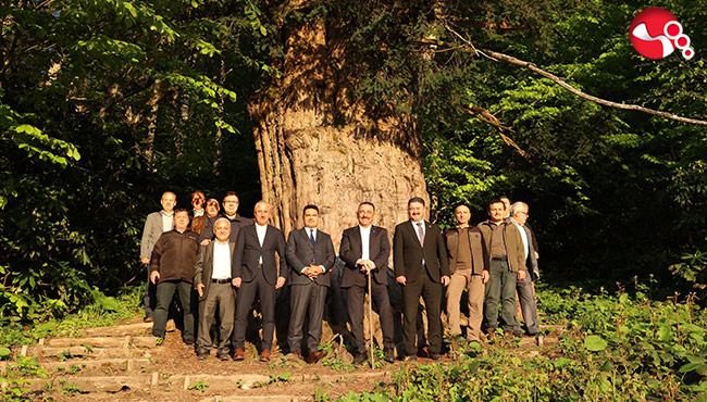 Vali Hacıbektaşoğlu, Gümeli'de...