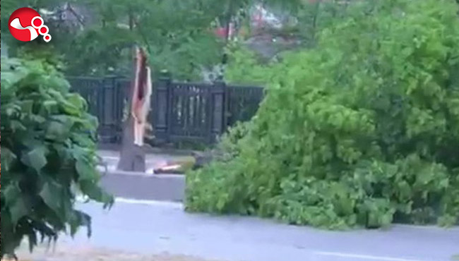 Şiddetli rüzgar etkisini gösterdi