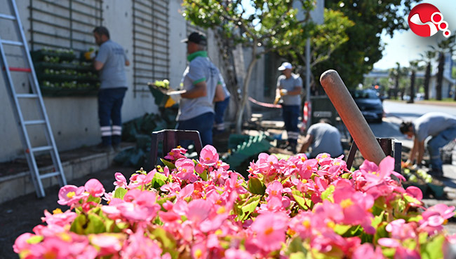 Kdz. Ereğli çiçekleniyor...