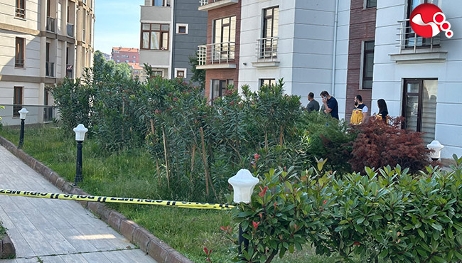 Apartman önünde ölü bulundu