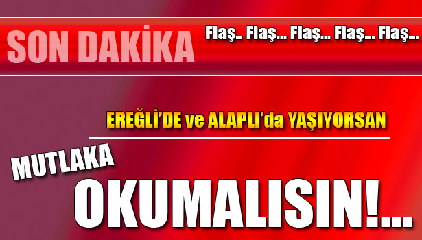 EREĞLİ, BU BİRLEŞMEYE NE DİYOR?