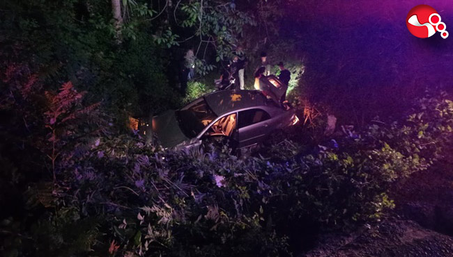 Ormanlık alana uçtu