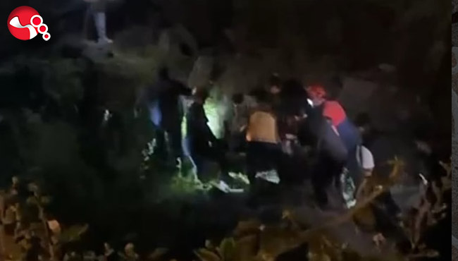 Ormanlık alana düştü