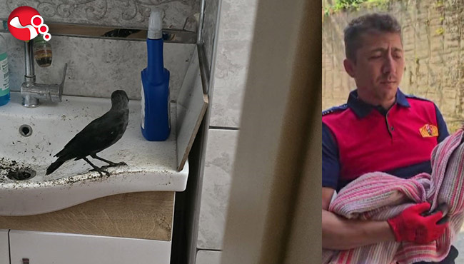 Boş eve giriverdi!....